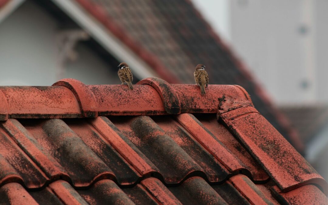Surviving AI Changes: A Guide For Roofing Companies